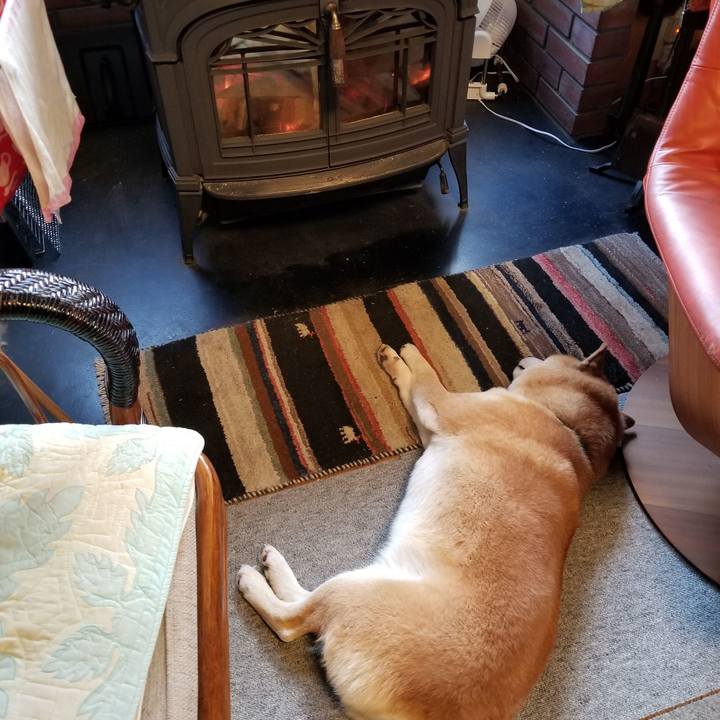 9bcba0b0 9b1c 4c38 bb86 8f59cb5cf223 1574205537488