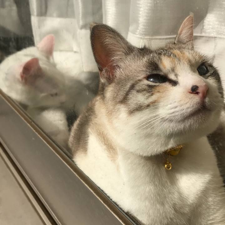 9bcba0d1 60e4 4a0c af56 22b6b12e14c6 1520675670265