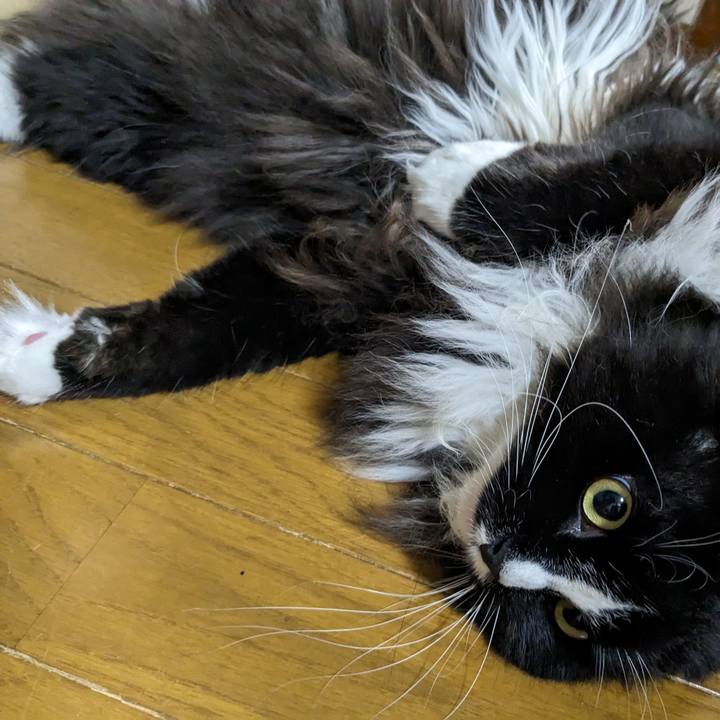 9bcbb65e a84d 4255 9dcb 14f0f86cacaa 1689801752298