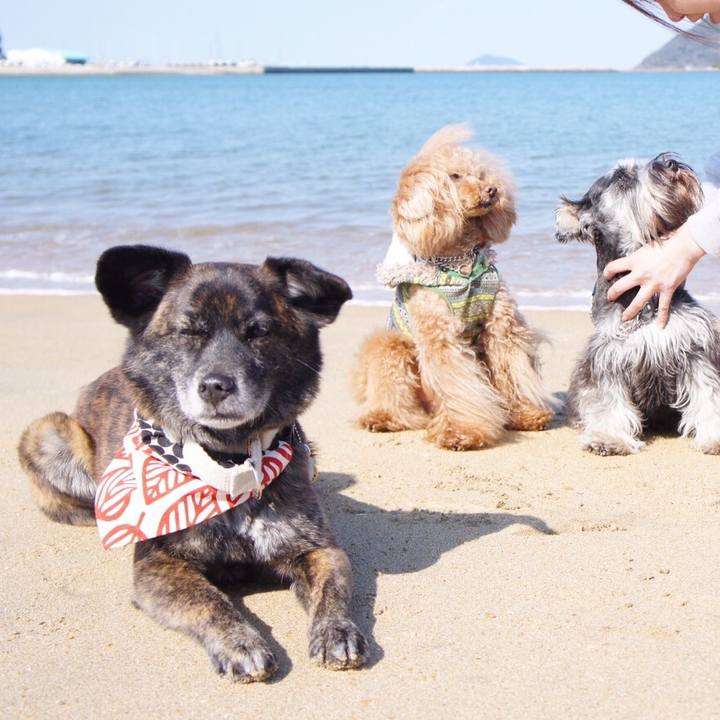 9bcbcb0b e130 4c59 b174 28c8024a3430 1554982590265