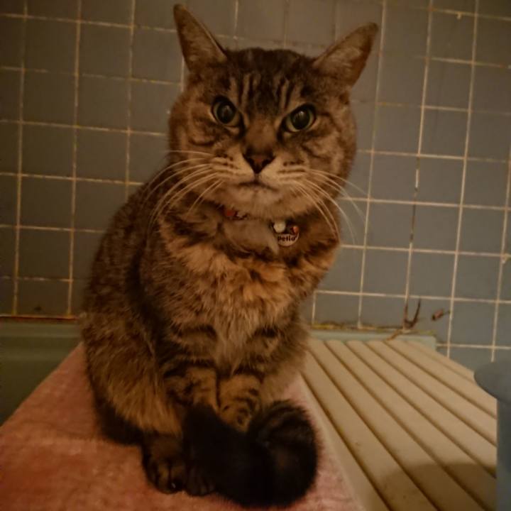 9bcbd7dc e8ea 4d6b 8649 c193164d2d2d 1580981744934