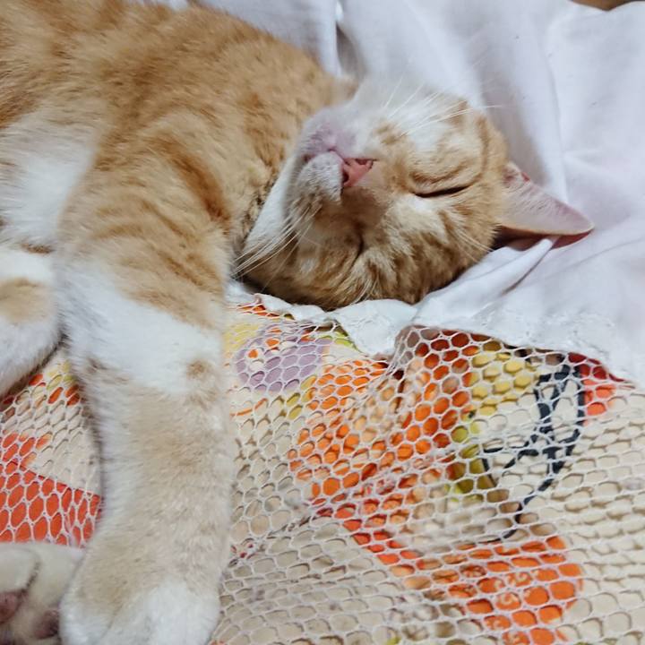 9bcbda1a f171 4f56 8685 7d15d8800306 1591187285484