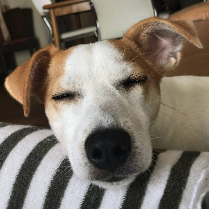 9bcbec81 785b 4400 b7e6 3c2142583d95 1570192649582