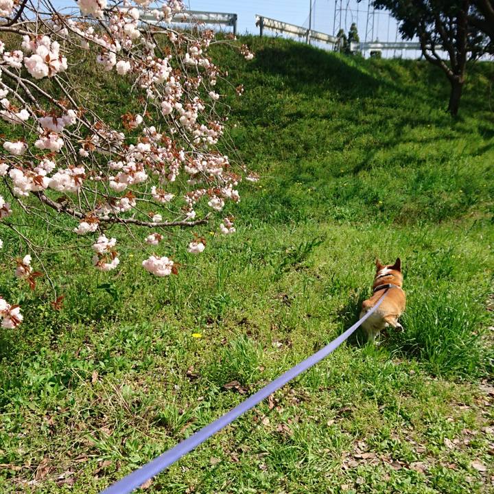 9bcc0082 0531 4a77 9dea 0743a03c1cec 1681197666461