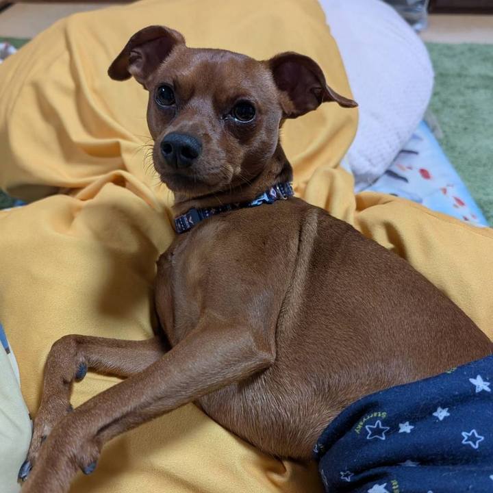 9bcc2010 0556 43f5 ae45 f23809dc387c 1759499766674