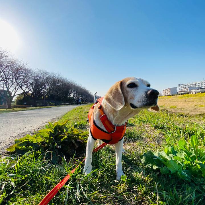 9bcc2e0a 2cf2 4d89 88dc 7ecd375a7a0d 1615446043924