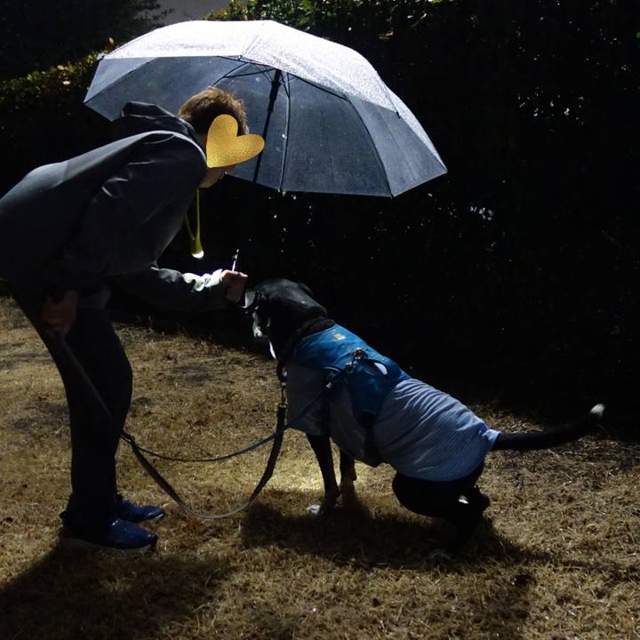 9bcce9f9 dd86 4e30 8619 ad507d17fb68 1741777727689