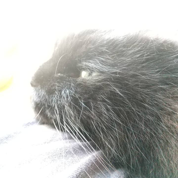 9bcd09ec 1a1b 47a6 a62e 28c1929ce99d 1593647107612