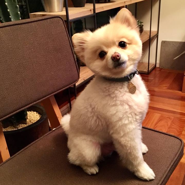 9bcd0eb9 3a75 4d17 b18c 160c52084073 1554907597054