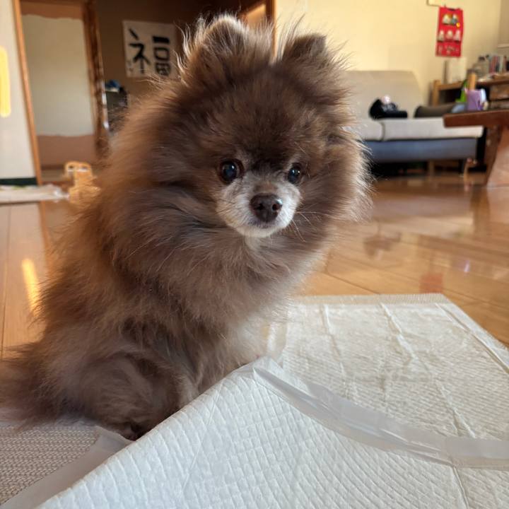 9bcd3a75 827a 42ef b4f2 bb9c74ebf2d9 1773098923484