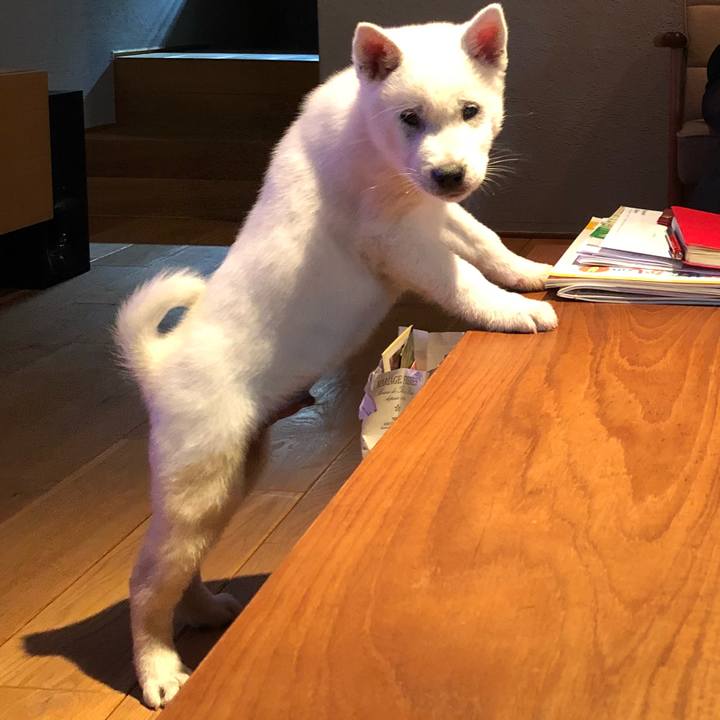 9bcd4076 a0c3 4377 853b 03f5b17bd369 1542199052529