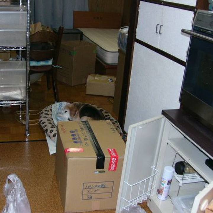 9bcd4733 71ff 474e 9033 7b770920502d 1677977964721