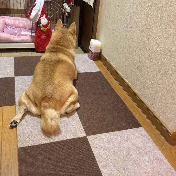 9bcd5f9b 915e 447b 83e8 98d0667f2f2c 1545458225283