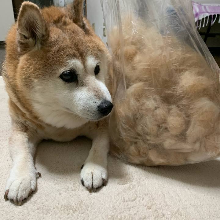 9bcd627f 664e 4057 a1b4 c4b7708b924f 1595680697570