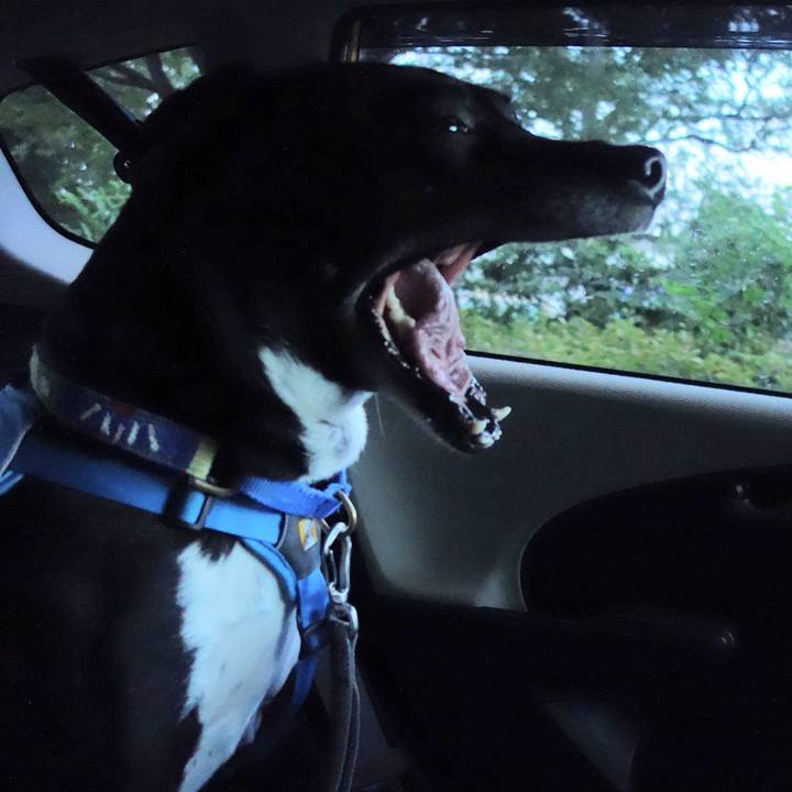 9bcd6f18 9a42 4032 a335 f28f3958f0c3 1691492969134