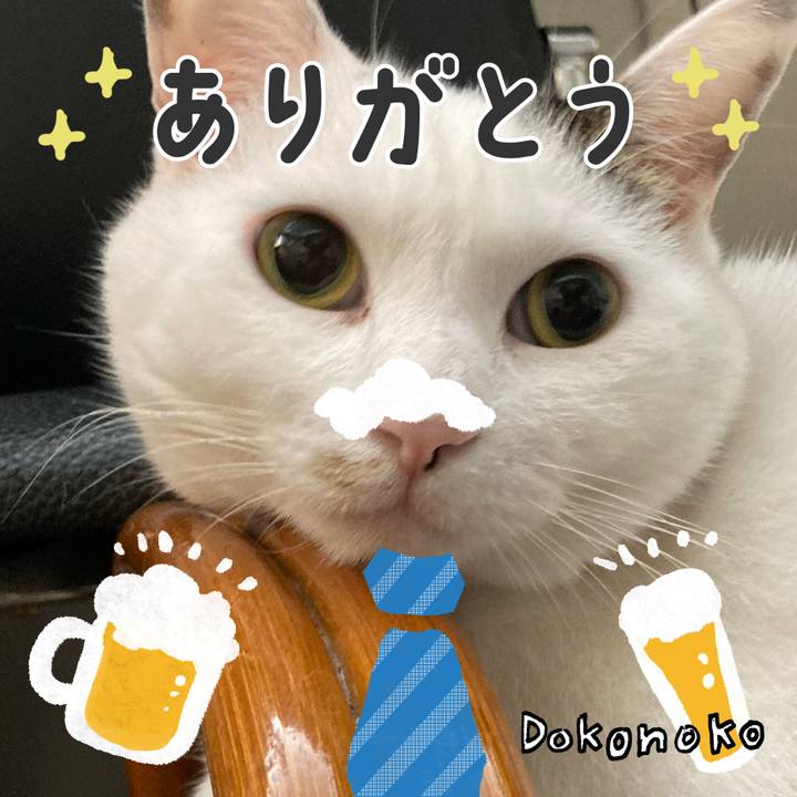 9bcd8c17 d0a4 451a af4f 1a088cf60224 1717597106710