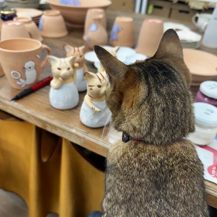 9bcdb9d6 4964 4eb5 bd37 81a4ebc66732 1773970472331