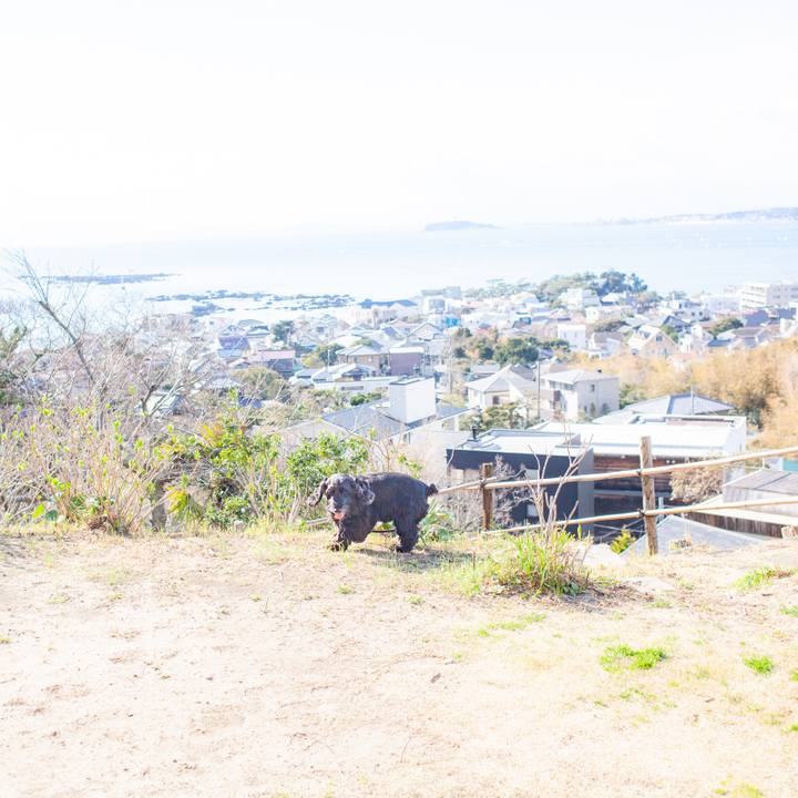 9bcdc597 ad07 4c37 ab08 b8d58915eca9 1552750149809