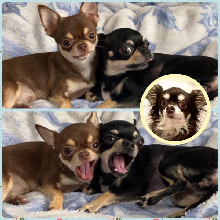 9bcdefd4 834a 4df1 96f2 06eecd13d26e 1611062608588