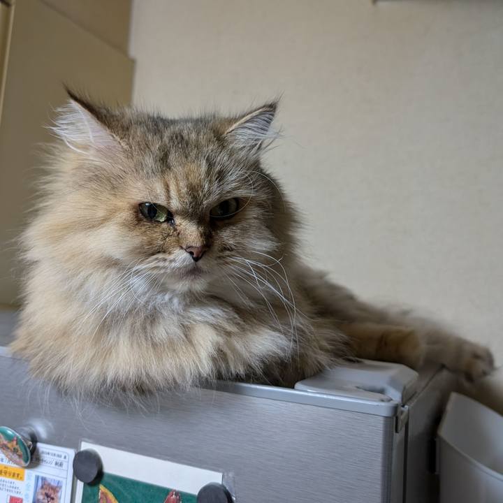 9bce27c2 fd15 41fb ae8f c9da77a15456 1727735777750