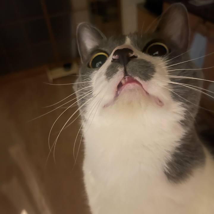 9bce3454 3664 4407 bf67 c8852b52fc40 1742298981411