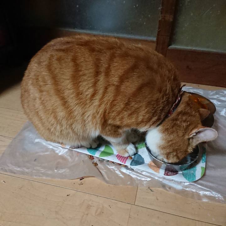 9bce5809 dfa8 4e8e b6db 7d38593560e7 1606300826284