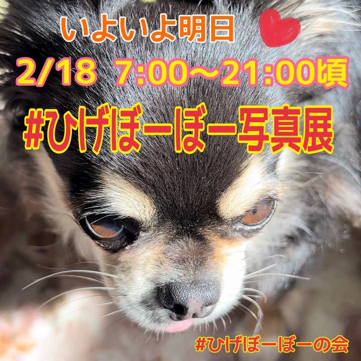 9bce7a5e bfb0 4b76 9196 d4e5ba87fae8 1676598552987