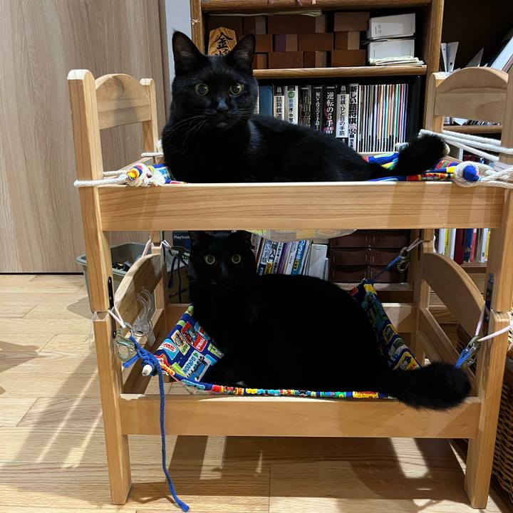 9bcebe39 a247 472f a5d6 6771d444a168 1725367061113