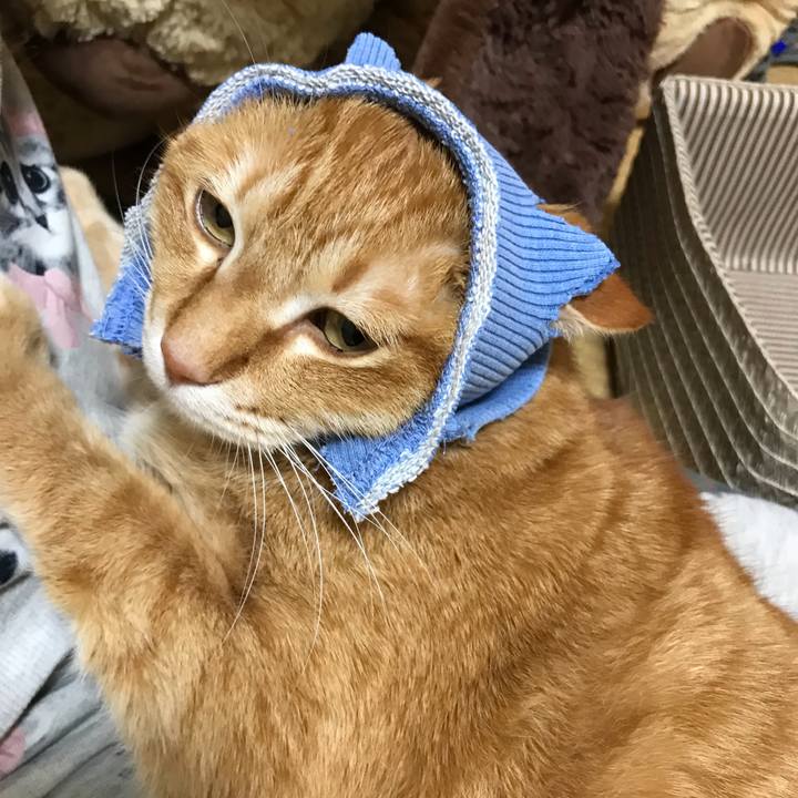 9bcec8e7 5495 4a2e bd69 ad68a06e0e24 1554377971130