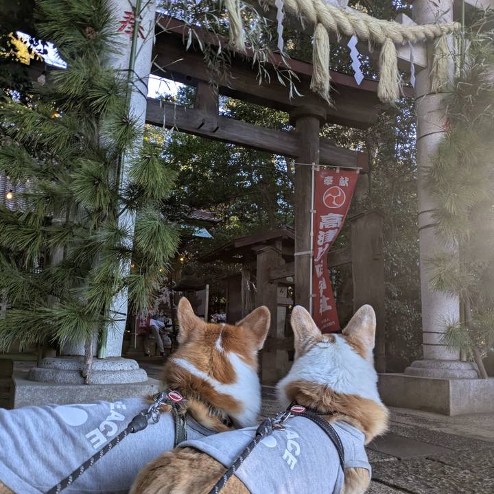 9bceeb92 9622 4b13 b448 cc89e9113196 1767920417008