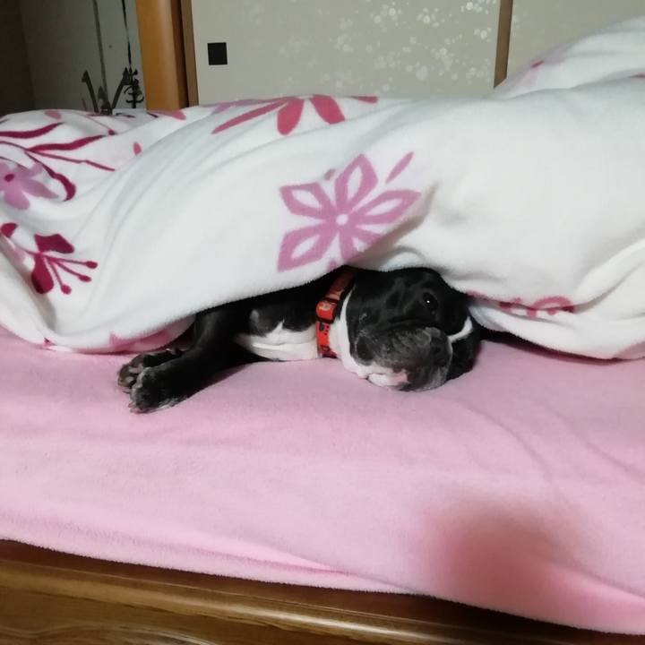 9bcf1f0d 2cc1 4bd9 bf2a 6f35084c6eb4 1551648669379