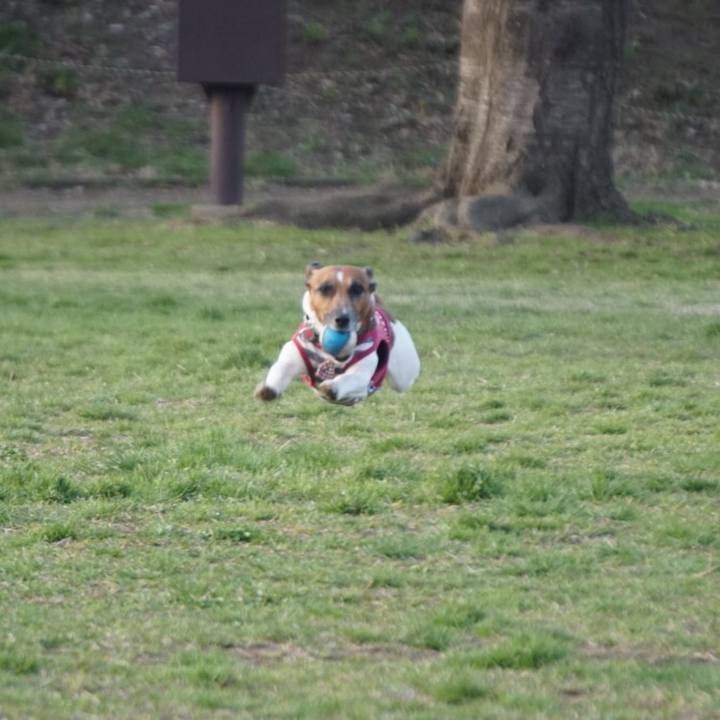 9bcf8fbc 8d0a 4b63 878f b8f7d0738e71 1555023425072