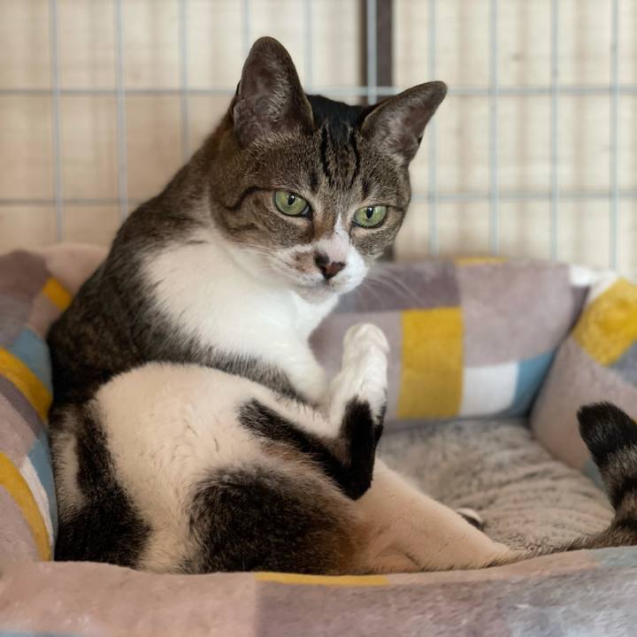 9bcf9c39 a78e 4cb7 818c fe8047316b45 1615254127496