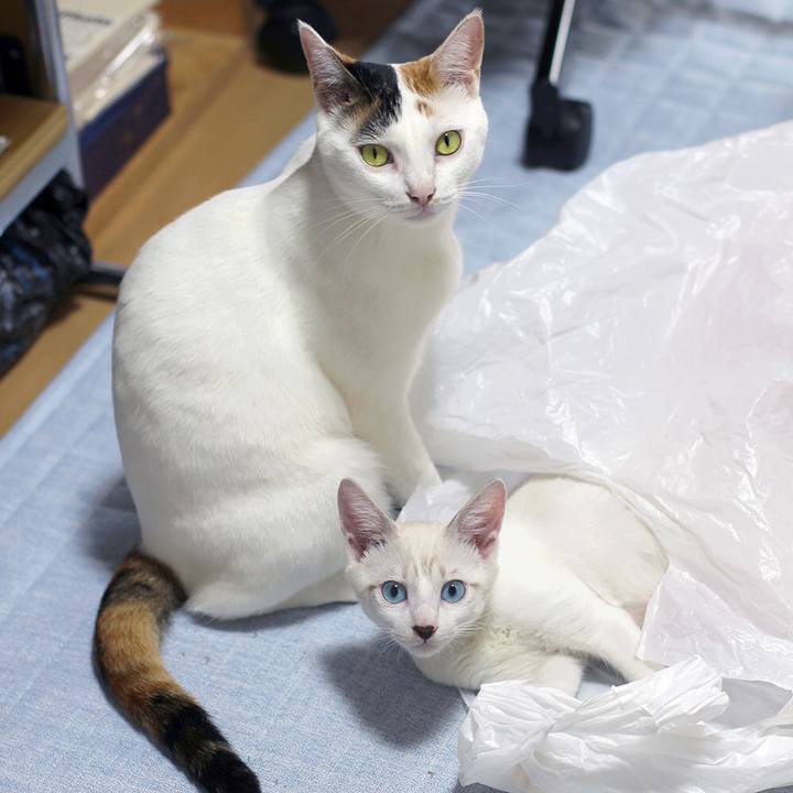 9bcfb0d5 6795 43fb bde3 bcdce84de6f8 1601423630264