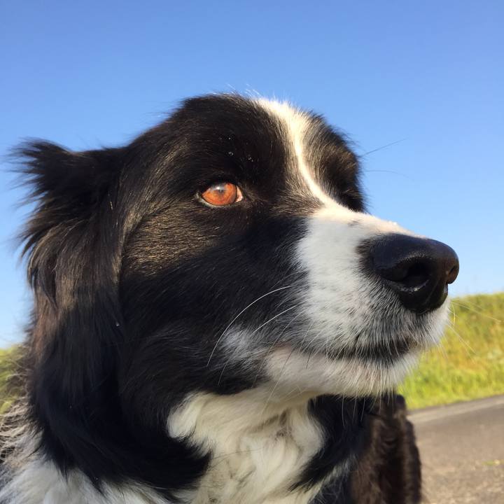 9bcfb351 6608 4fbb a5e8 a19452df3e23 1553553292180