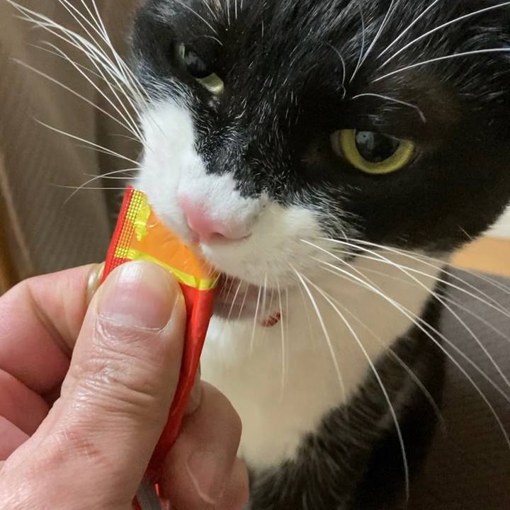 9bcfca6e 272c 4a6e a0be 9d79f8b52a5e 1643879647878