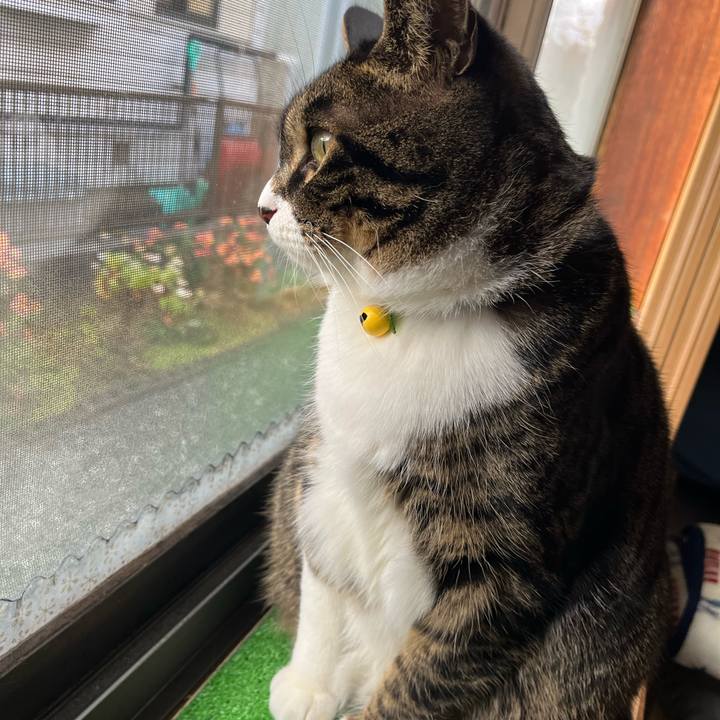 9bcfdb5b e573 40e7 a77d 4b73c7b41e1e 1763857696543