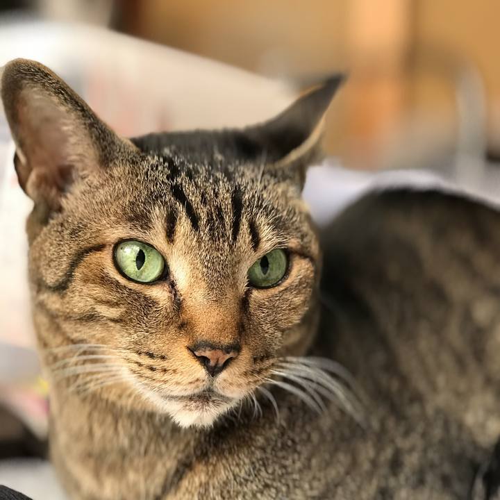 9bd00ee0 ca98 4bdd 856c 57abdbe32e39 1524100730648