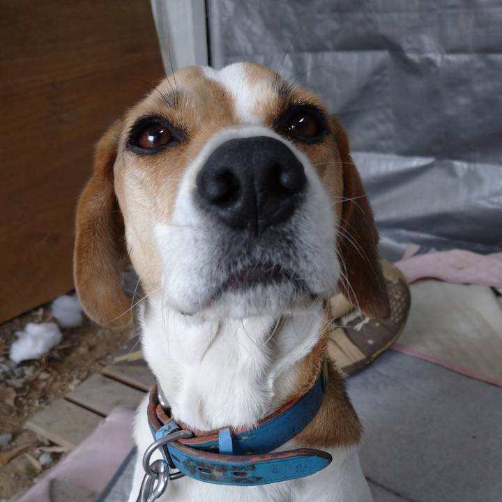 9bd016e6 d1a9 4703 afee ce7e6964e5cf 1603864851657