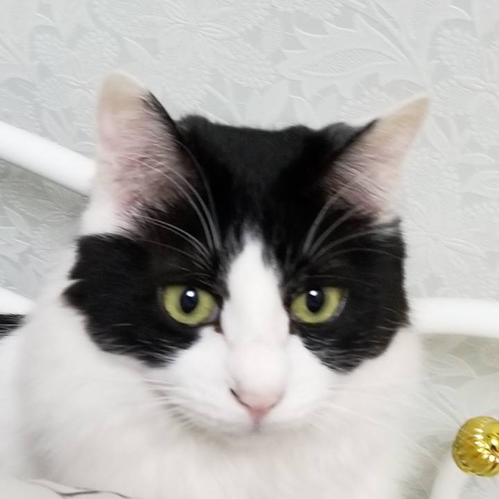 9bd02b11 2d63 4ba9 99f3 d539693d4d64 1552740067657