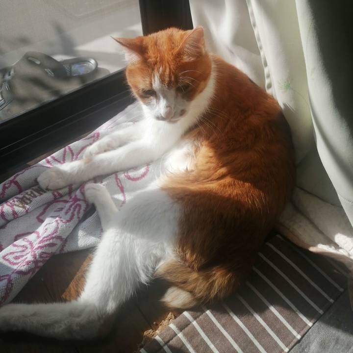 9bd08c44 5285 43f9 9314 ceb7ff7632aa 1635900804110