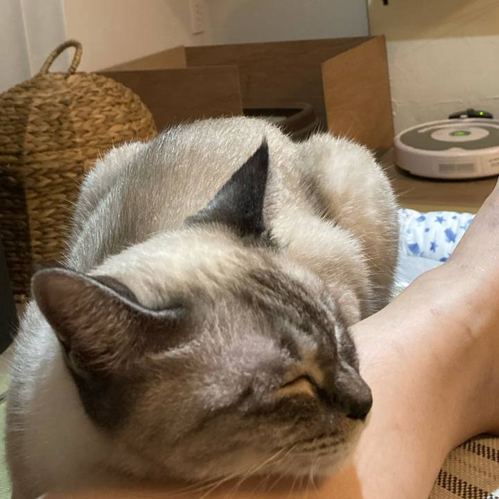 9bd09e5d e856 4da0 a3ee ed038ead33be 1629973208893