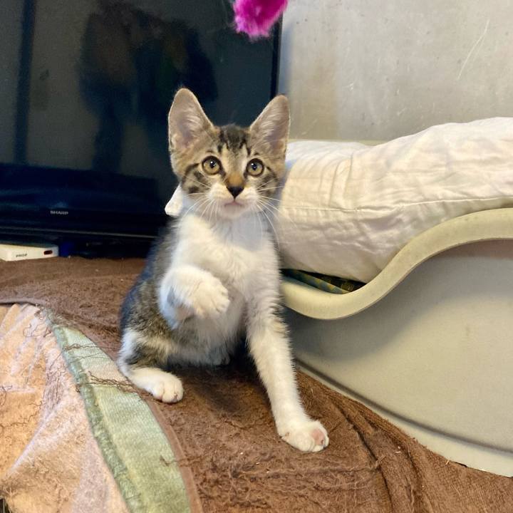 9bd0a773 4e0b 4968 ae38 e04e2405f78d 1690591407647