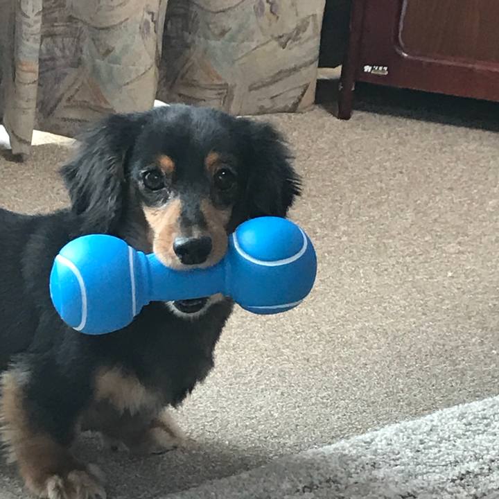 9bd0a971 a4de 4428 83fa 9315ff352abc 1510441309267