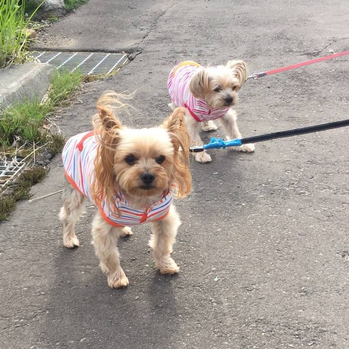 9bd10bf2 bdbc 4ab0 8a69 9fbb64368da5 1526343140566