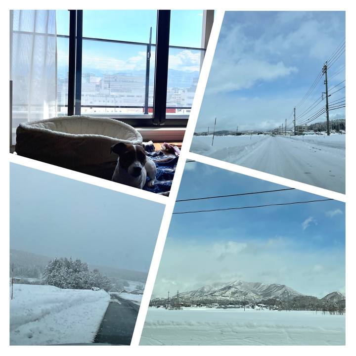 9bd14132 955d 47c9 9319 617308c49fba 1645595210482