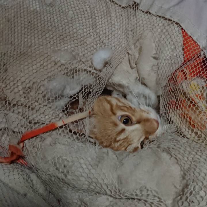 9bd1585a b048 4578 8d30 fdd1a0bd13fe 1646081701799