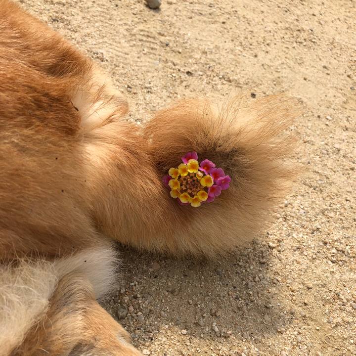 9bd1617b e72d 45da 98bd a5ef4e5172fb 1561079284905