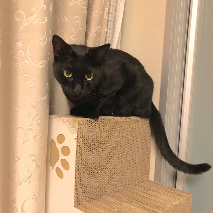 9bd16939 827d 410c 9283 cc7a5bbd6611 1538304814083