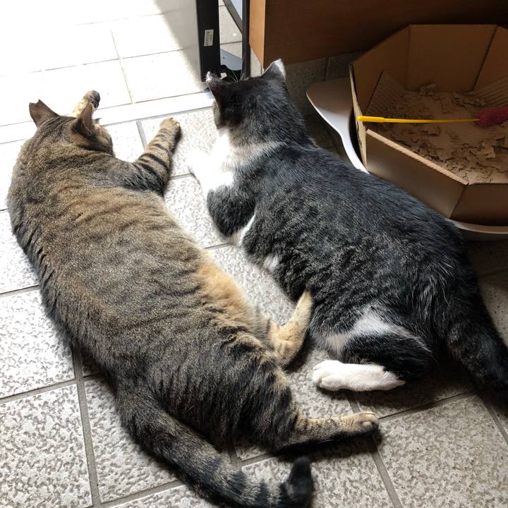 9bd1717b 1338 477a 921f f4f8c6354ea9 1567855563185